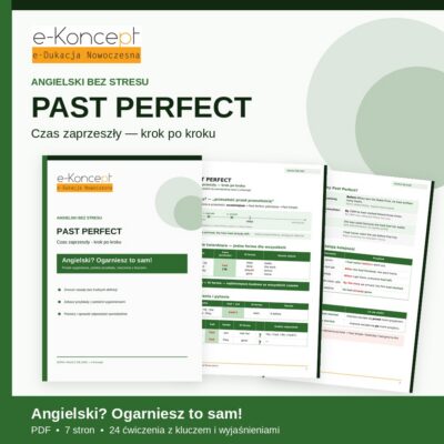 Past Perfect – Naucz się sam! | Czas zaprzeszły (PDF)